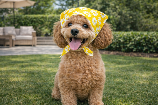 Daisy Sunshine Pet Bandana