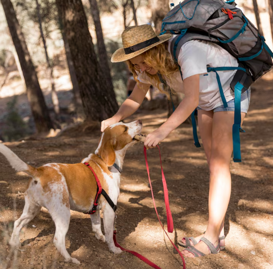 The Ultimate Guide to Stress-Free Travel and Mess-Free Living with Your Tribe