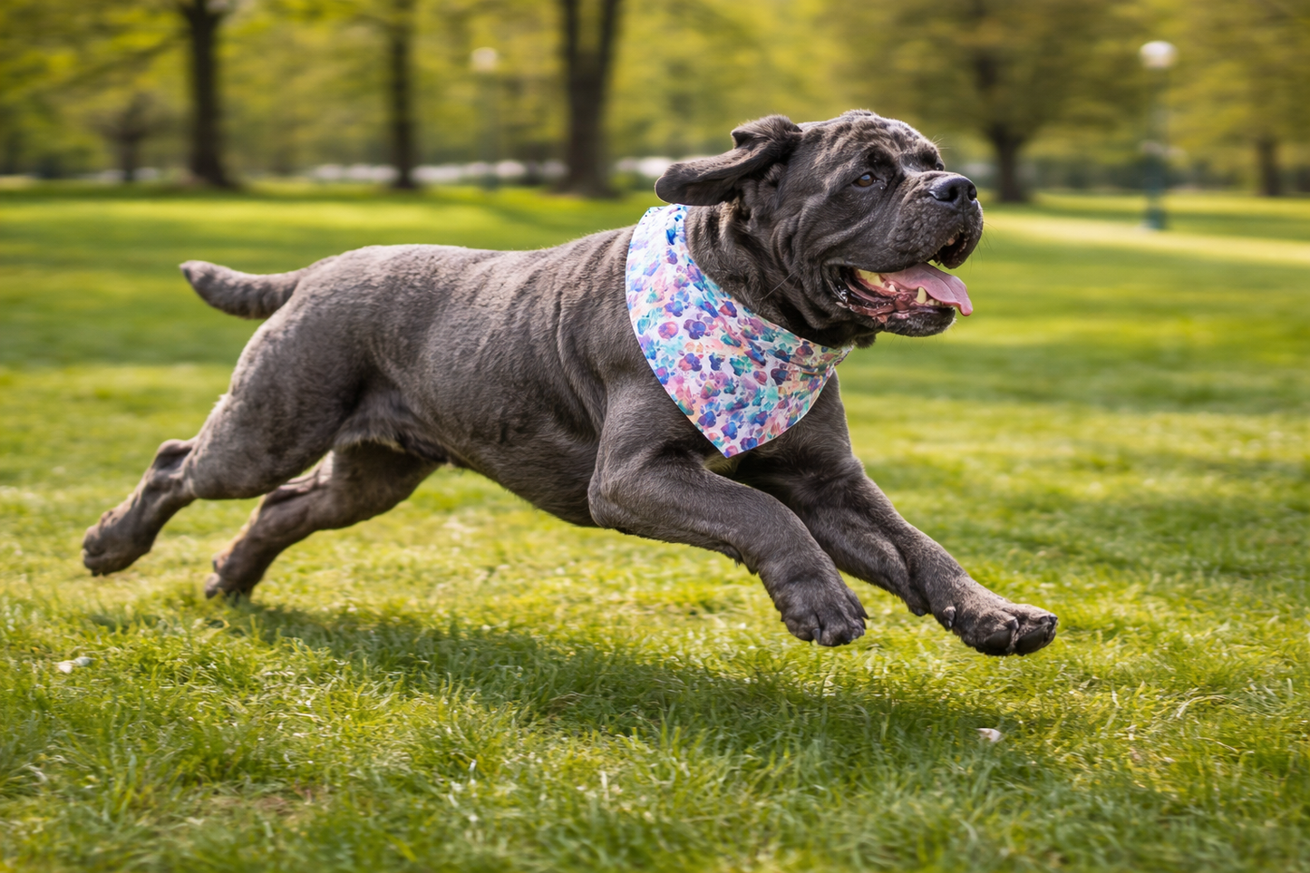 Floral Watercolor Pet Bandana Collar