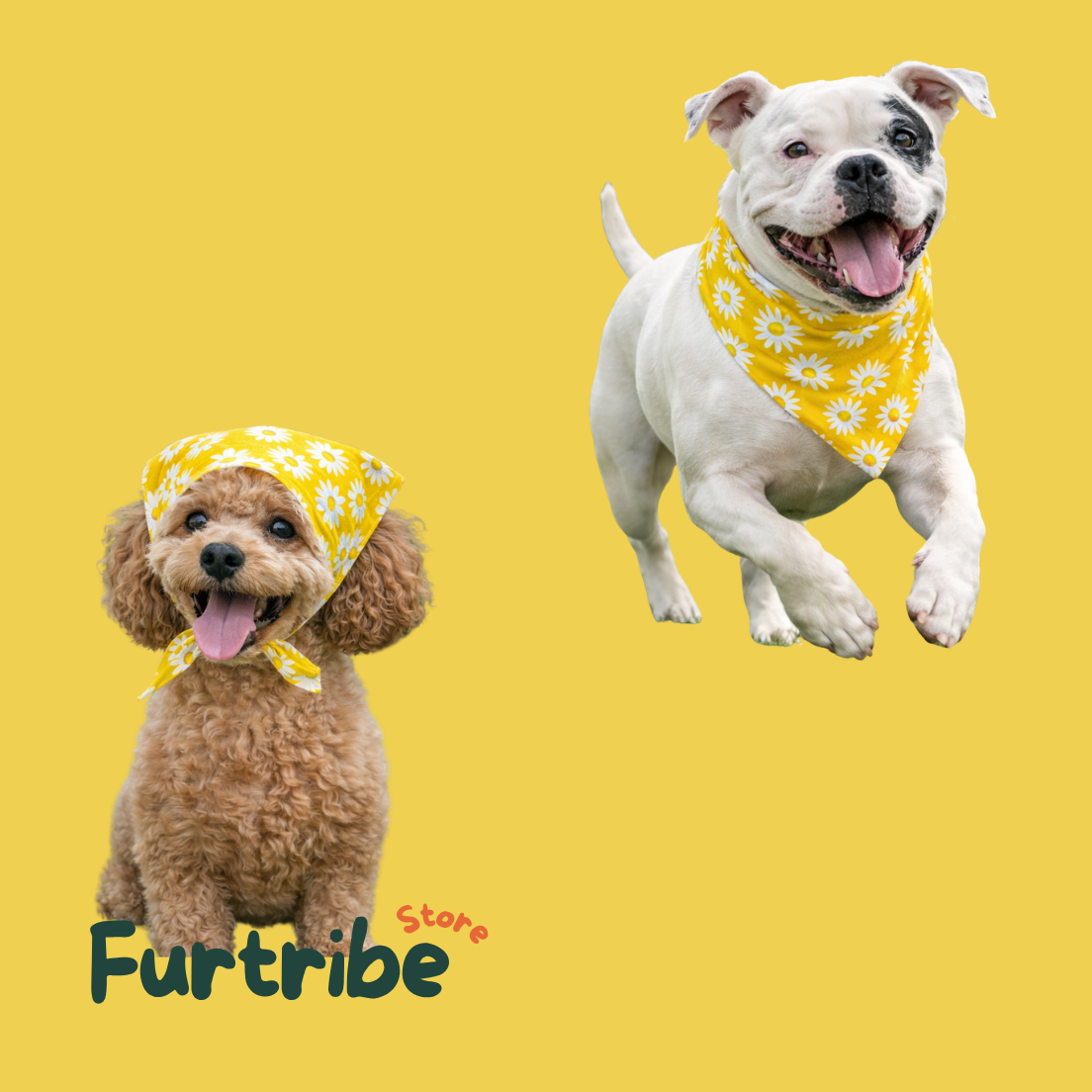 Daisy Sunshine Pet Bandana