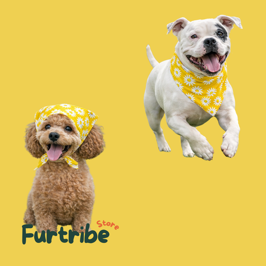 Daisy Sunshine Pet Bandana